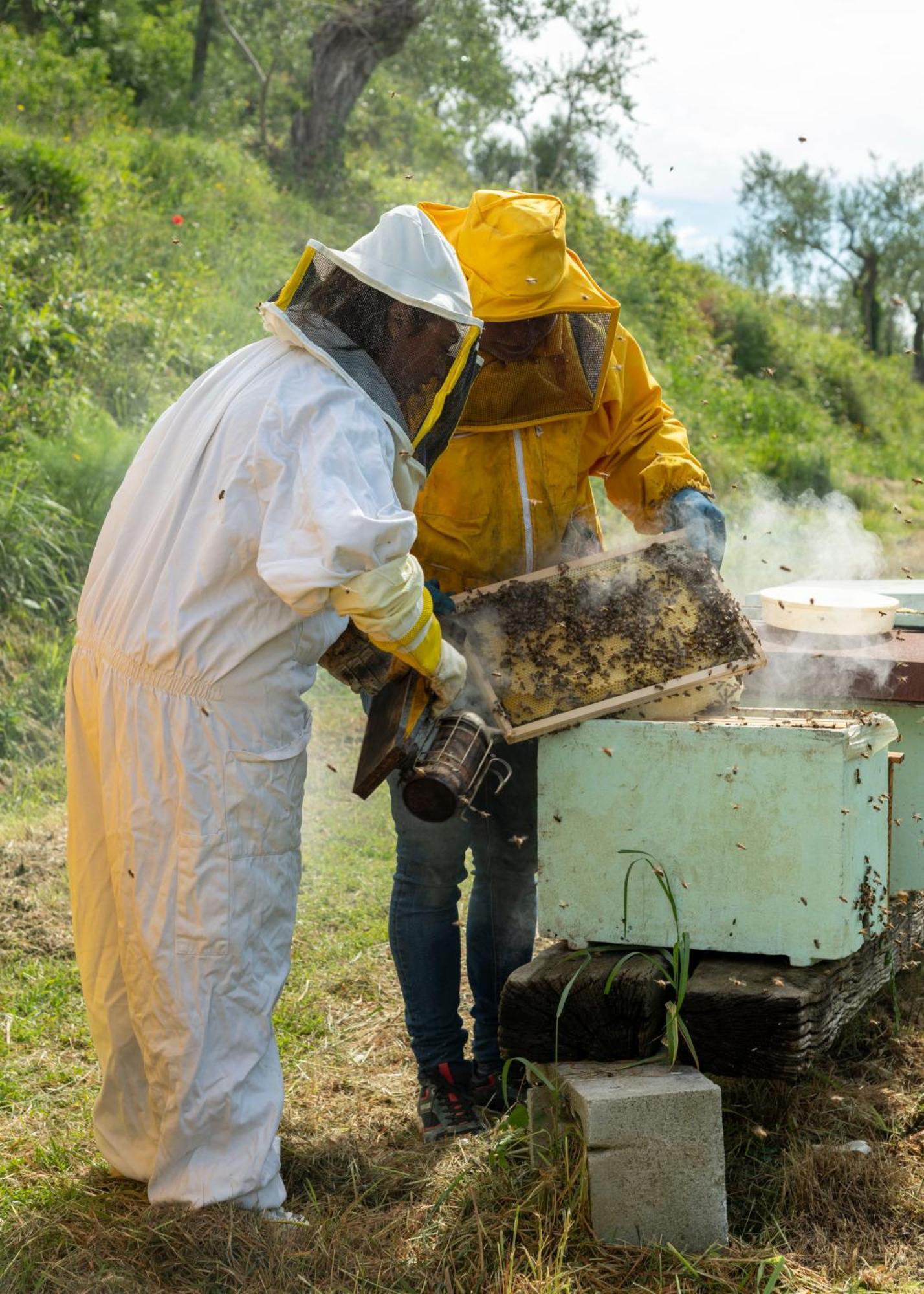 Agriturismo Due Comuni San Gervasio Bagian luar foto