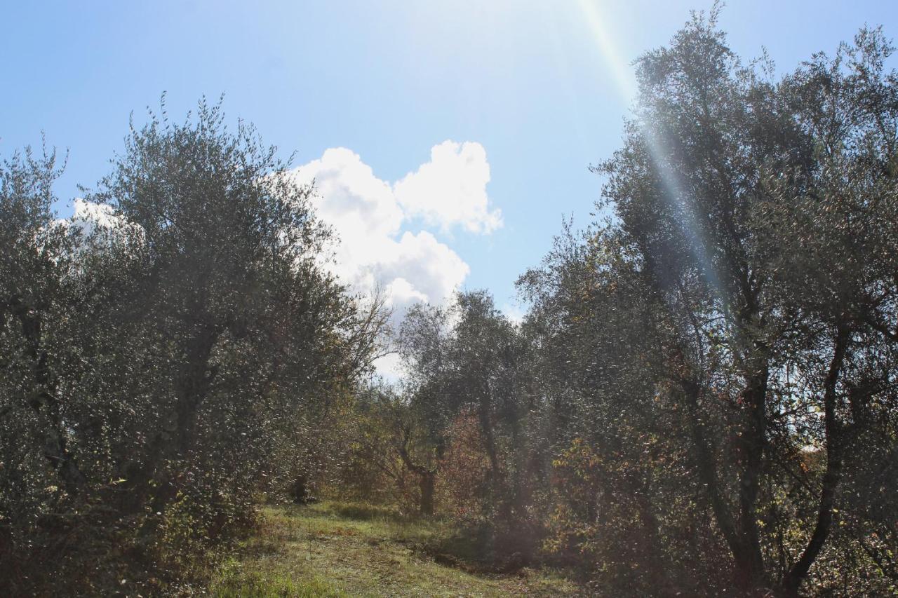 Agriturismo Due Comuni San Gervasio Bagian luar foto
